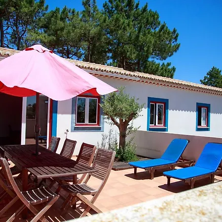Guest house Offline House *